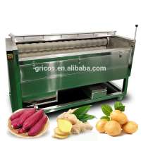 Professional Onion Peeling Pumpkin Potato Ginger Fruit Roller Washer Cleaner Vegetable Brush Washing Peeling Machine